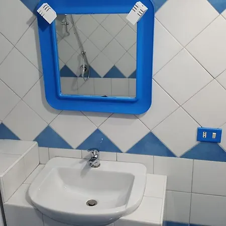 I Mosaici - Tartaruga